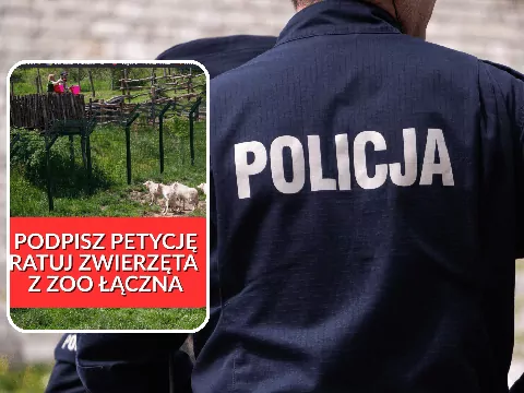 Służby weszły do ZOO Łączna
