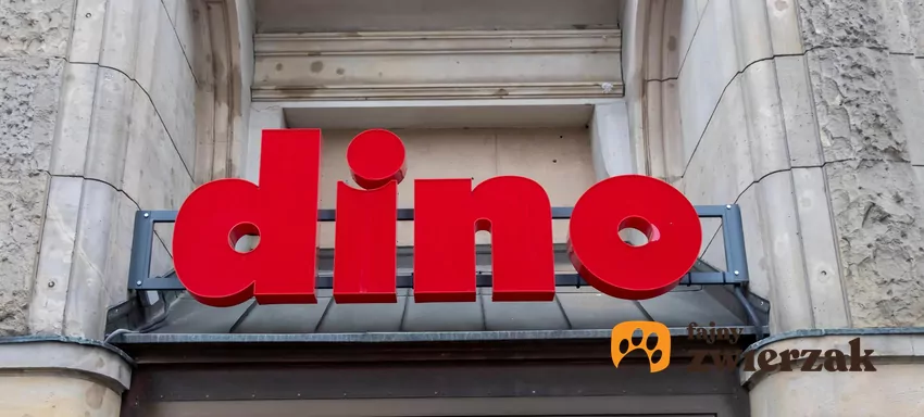 W nowej gazetce Dino dużo ciekawych promocji Dino