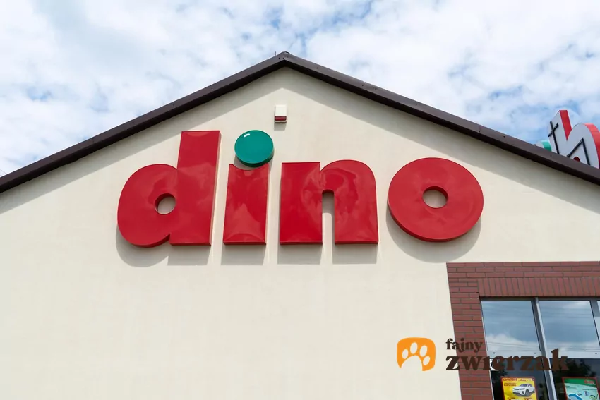 W nowej gazetce Dino dużo ciekawych promocji Dino