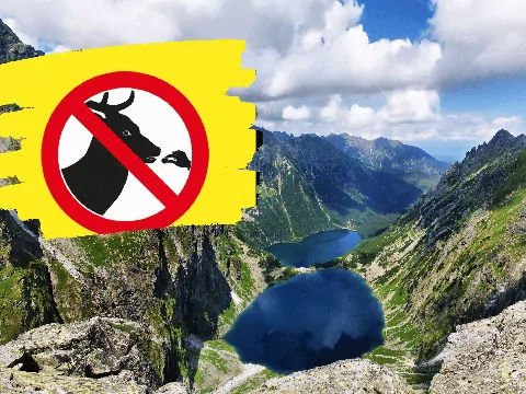 TPN apeluje do turystów