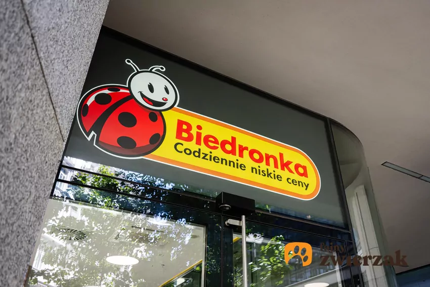 Promocja na Ninja w Biedronce
