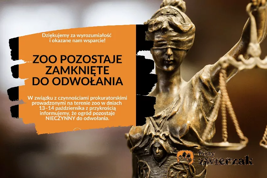 Kolaż zdjęcia figurki Sprawiedliwości i komunikatu Zoo Łączna, https://www.facebook.com/photo.php?fbid=1750011983226701&set=pb.100046537496300.-2207520000&type=3, dostęp 19.10.26 r.