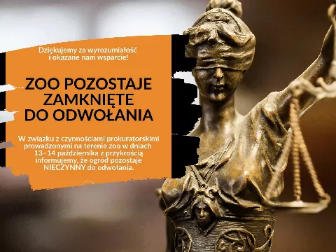 Afera w ZOO Łączna
