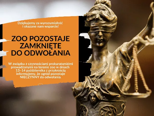 Afera w ZOO Łączna