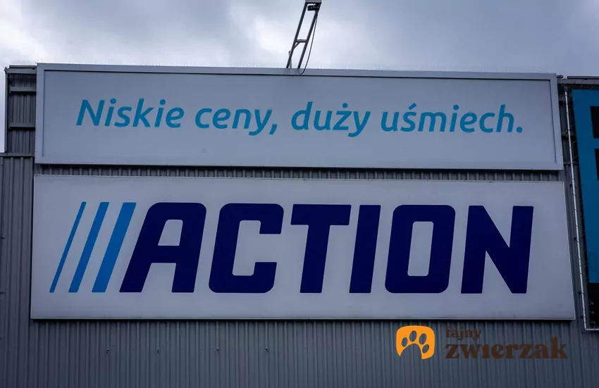 Action
