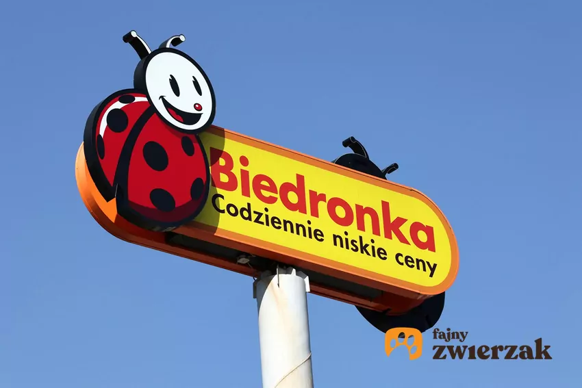 Biedronka