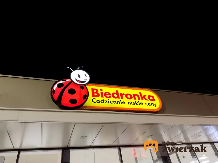 Biedronka
