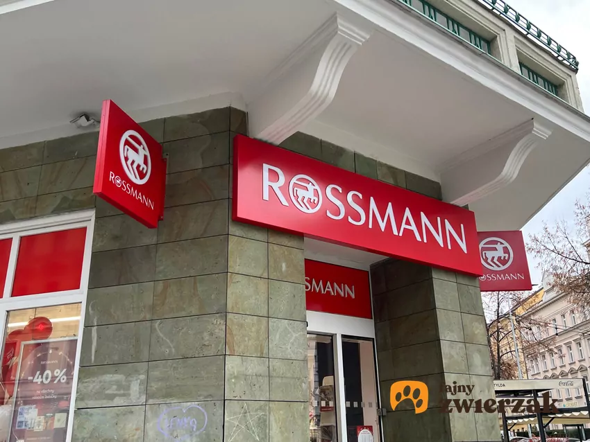 Promocja na Bruno Banani w Rossmannie