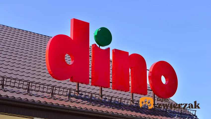 W nowej gazetce Dino dużo ciekawych promocji Dino - duże logo