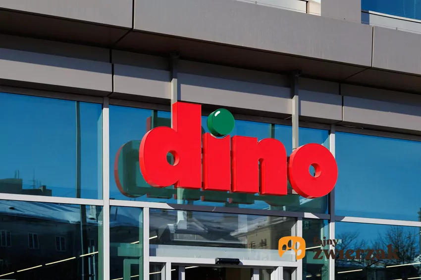 W nowej gazetce Dino dużo ciekawych promocji Dino