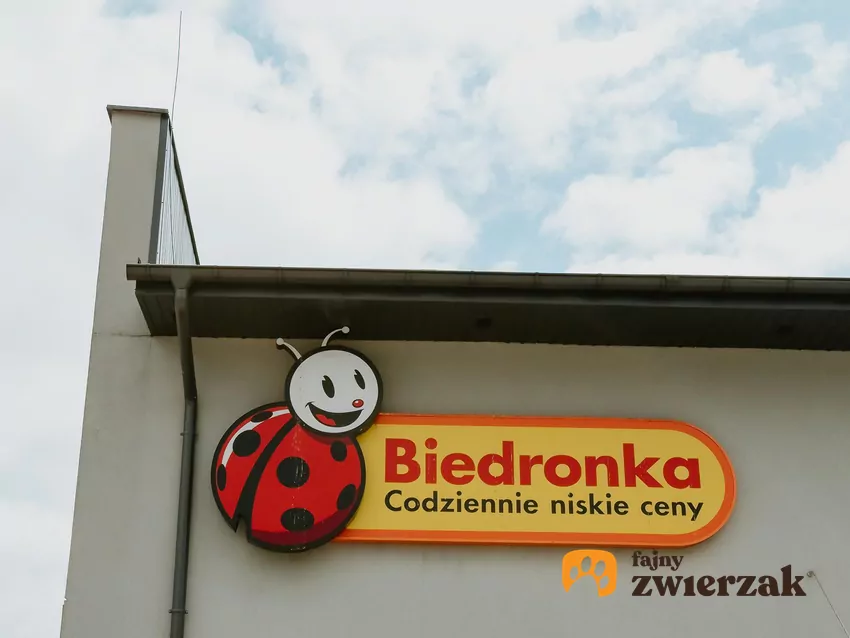 Biedronka