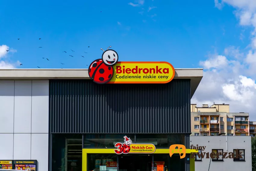Nowe promocje w Biedronce od 26.10 Biedronka