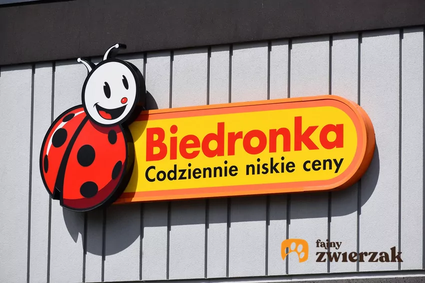 Nowe rabaty w Biedronce od 26 października Biedronka