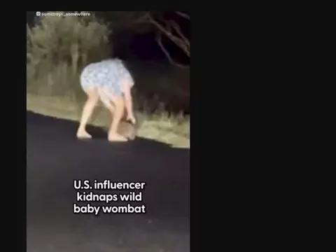 Dzikie zwierzę porwane przez influencerkę