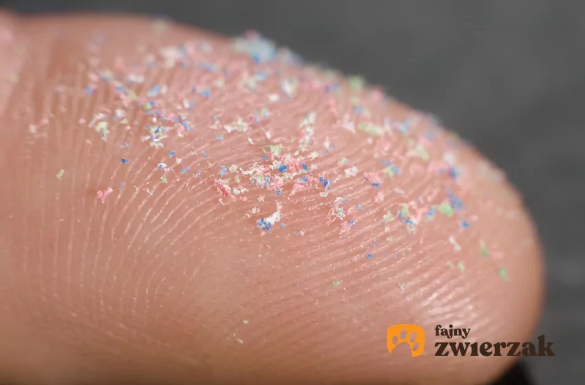 Mikroplastik znajduje się dosłownie wszędzie: w powietrzu, glebie, wodzie, a nawet w lodzie pokrywającej Arktykę Cząstki mikroplastiku na palcu
