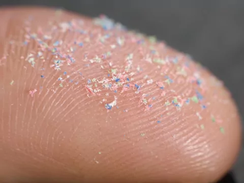 Mikroplastik coraz większym problemem