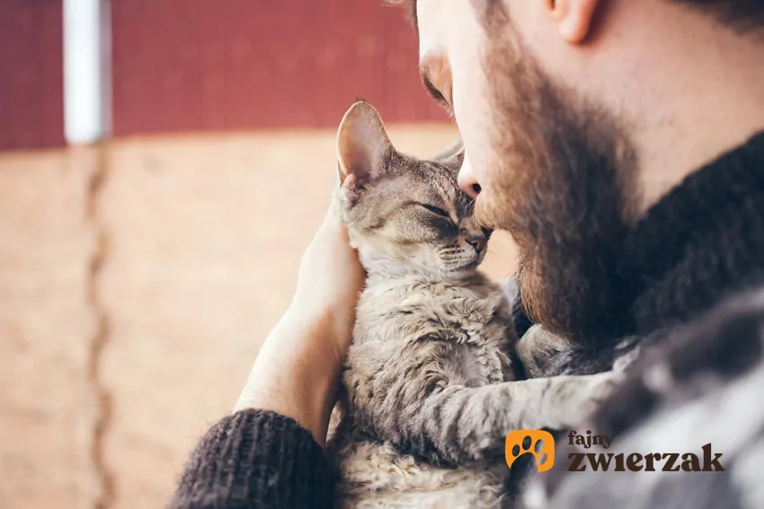 Nie każdy kot nadaje się na terapeutę – kluczowe są jego cechy charakteru Mężczyzna i kot