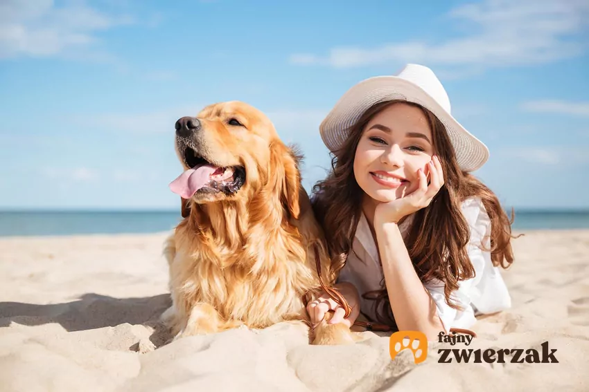 Psia skóra jest tak samo narażona na poparzenia słoneczne, jak ludzka Pies i człowiek na plaży