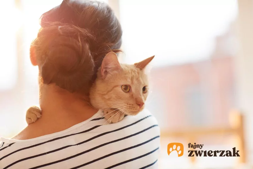 Do objawów lęku separacyjnego można również zaliczyć załatwianie się poza kuwetą i nerwowe wylizywanie różnych części ciała Kot z kobietą