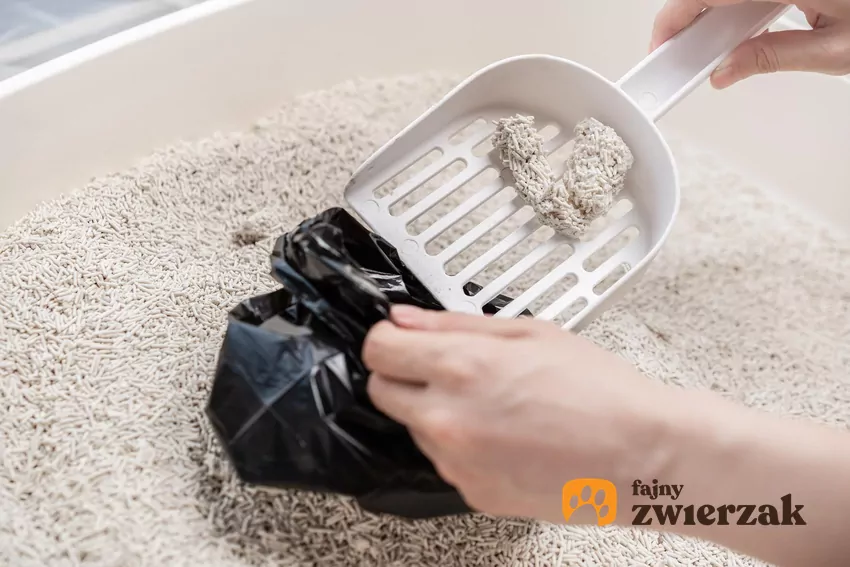 Opiekunowie często wybierają taki, który spełnia ich, a nie kota wymagania Wybieranie brudnego żwirku z kuwety