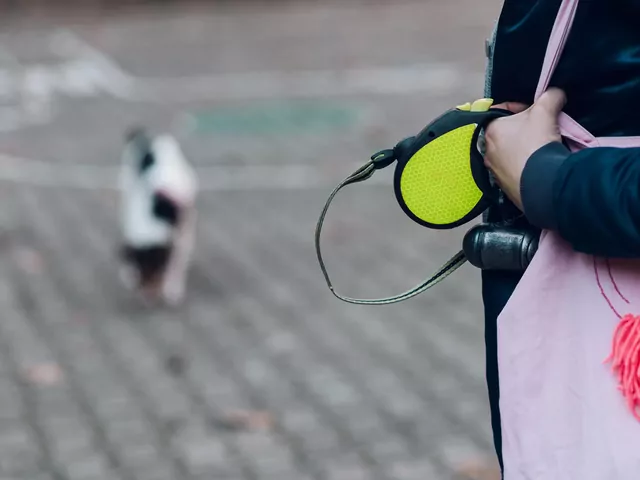 Czy warto wybrać smycz typu flexi?