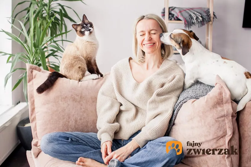 Lizanie jako forma komunikacji jest głęboko zakorzenione w psiej naturze Pies liże kobietę