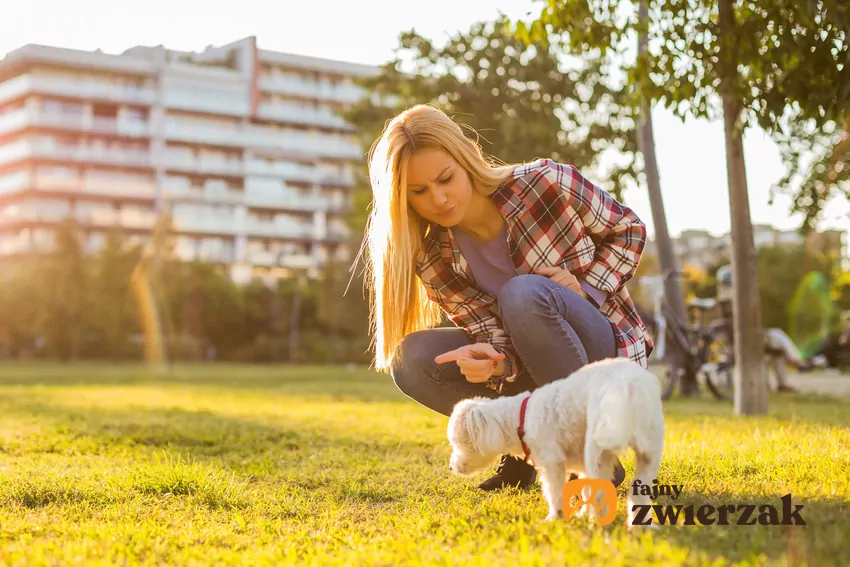 Jeśli ukarasz psa za coś, co zrobił kilka minut temu, zwierzę tych dwóch zdarzeń ze sobą nie powiąże Kobieta z psem na trawie