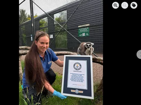 Najstarszy lemur katta świata