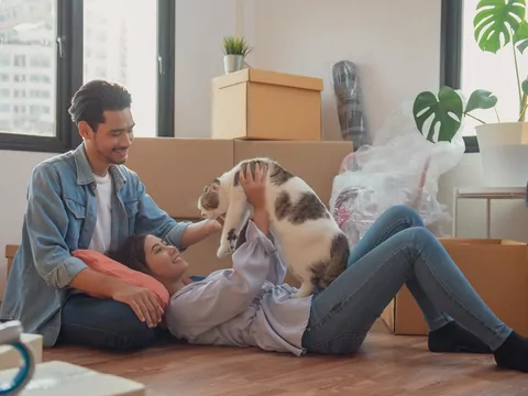 Adaptacja kota w domu