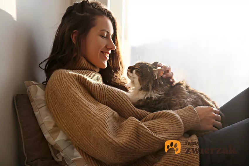 Opiekun dochodzący (petsitter) to najlepsze rozwiązanie na czas urlopu Kobieta z kotem na rękach