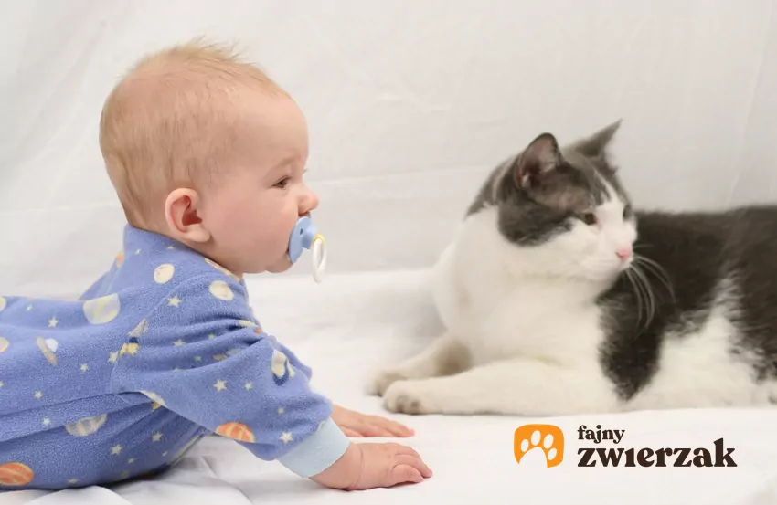 Gdy dziecko nieco podrośnie, pokaż mu, jak obchodzić się z pupilem Kot i dzieco ze smoczkiem