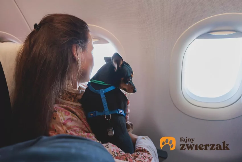 Zanim zarezerwujesz bilet, upewnij się, że linia lotnicza, z którą chcesz podróżować, akceptuje zwierzęta na pokładzie Kobieta z psem w samolocie