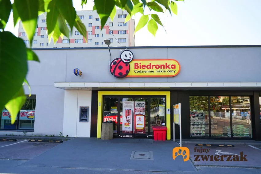 To doskonała karma dla małych psów Sklep Biedronka