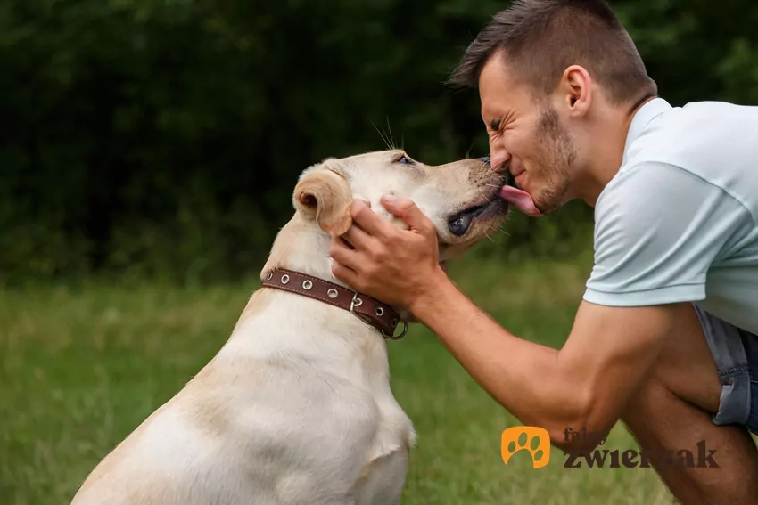 Badania naukowe pokazują, że psy są w stanie rozpoznawać podstawowe ludzkie emocje, takie jak smutek, radość czy strach Pies i człowiek na łące