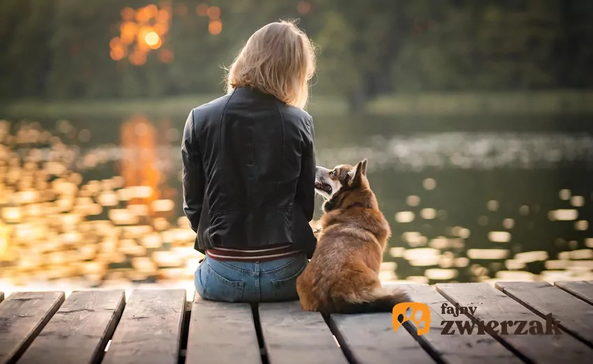 Z badań nad strukturą społeczną psów wynika, że nasze czworonogi często traktują swoich właścicieli jako przewodników stada Pies i kobieta na pomoście