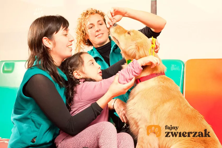 Obecność psów pomaga w rehabilitacji osób chorych Zajęcia z dogoterapii