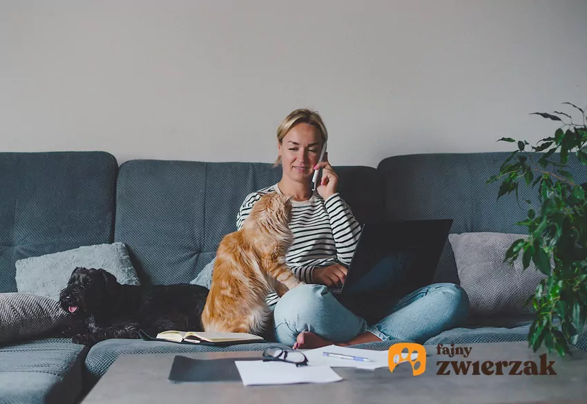 Kobieta siedzi na kanapie z kotem i laptopem