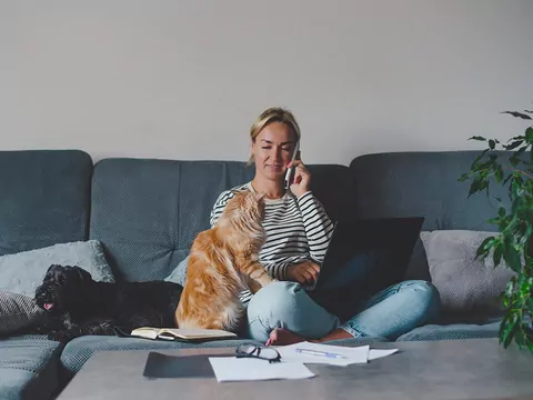 Dlaczego kot przychodzi, gdy siadasz?