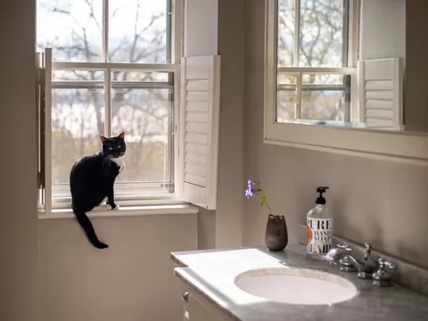 Dlaczego kot śpi w łazience?