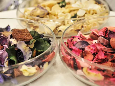 Zapach, który drażni nos psa