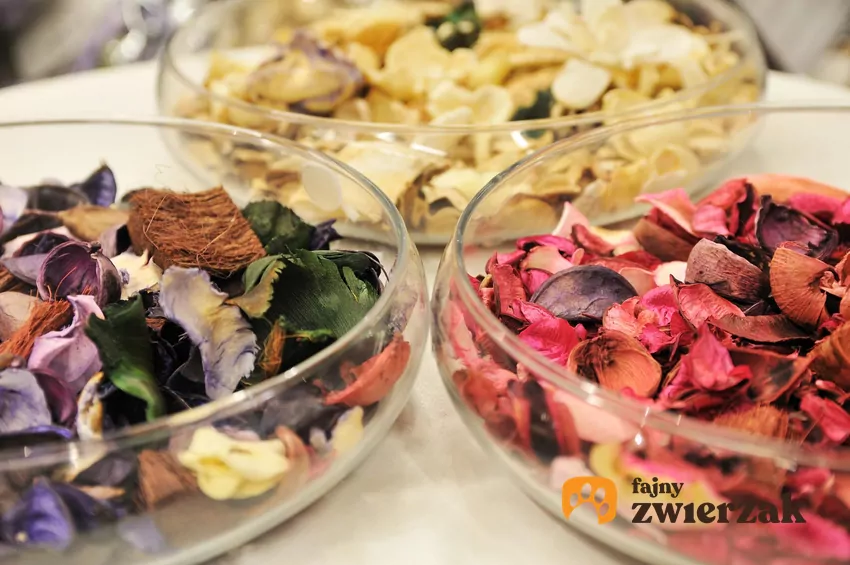 Potpourri