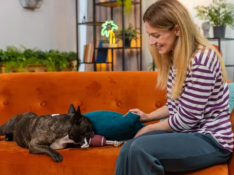 Pamięć epizodyczna u psów