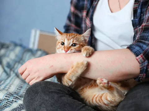 Dlaczego kot gryzie przy głaskaniu?