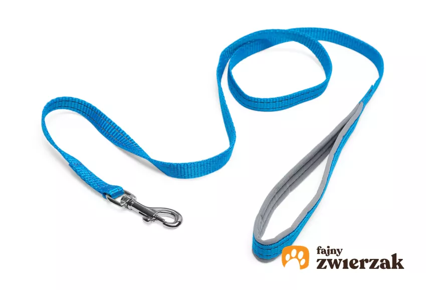 Smycz tradycyjna jest lepsza dla psa, ale w trakcie jej wyboru warto zwrócić uwagę na detale, na przykład na uchwyt. Uchwyt obszyty dodatkowo materiałem nie będzie się wżynał w dłoń Smycz klasyczna