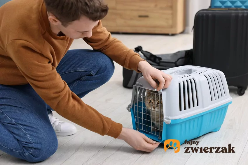 Każdy kot uczy się w swoim tempie. Niektóre mruczki przyswajają nowe umiejętności bardzo szybko, inne potrzebują więcej czasu Mężczyzna zamyka kota w transporterze