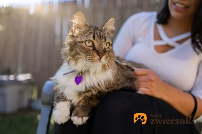 Weekend Adopcji – wspólna inicjatywa TOZ i Mars Polska Weekend Adopcji TOZ i Mars Polska
