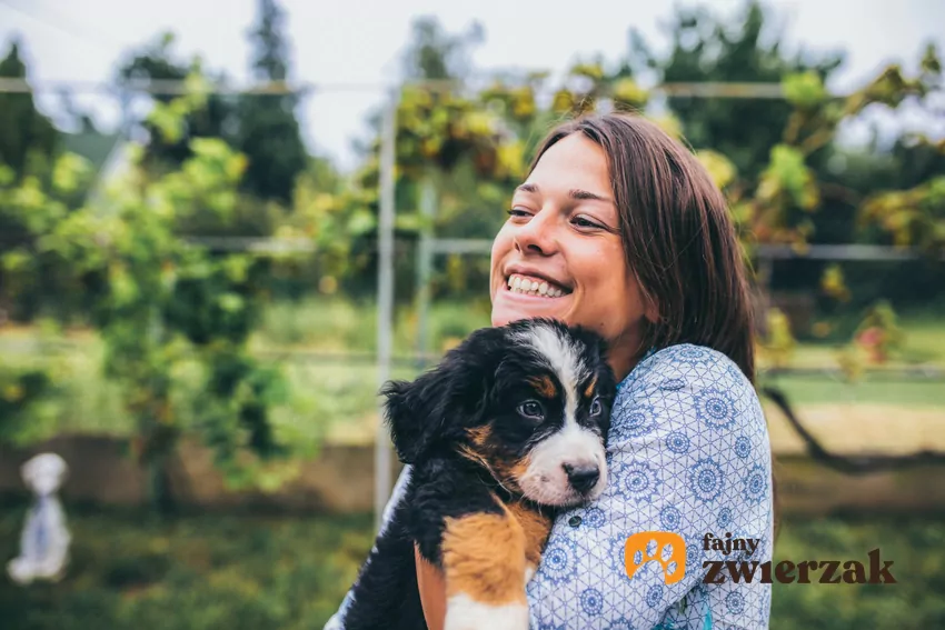 Psy i koty w schroniskach TOZ czekają na nowe, kochające domy Weekend Adopcji TOZ i Mars Polska