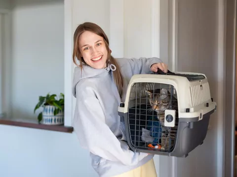 Pierwsze chwile po adopcji kota