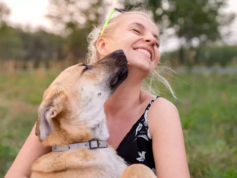 Dlaczego pies wybiera „ulubioną” osobę?