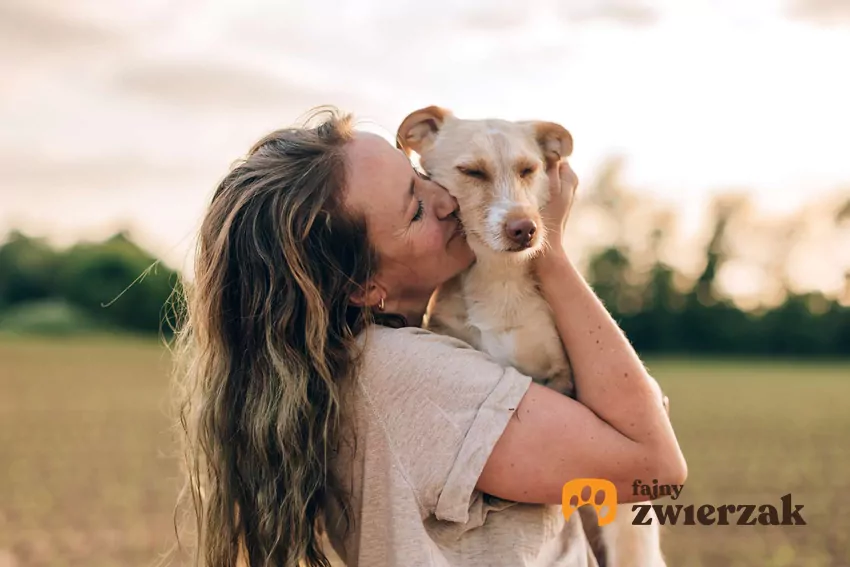 Profil psa na instagramie może być bardzo opłacalny Kobieta na łące trzyma na rękach psa